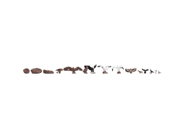 NOCH Birds, HO (1:87), Monivärinen