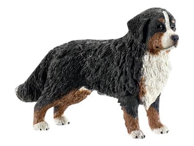 Schleich Farm Life - Bernese Mountain Dog
