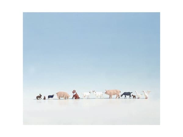 NOCH Farm Animals, N (1:160), Monivärinen