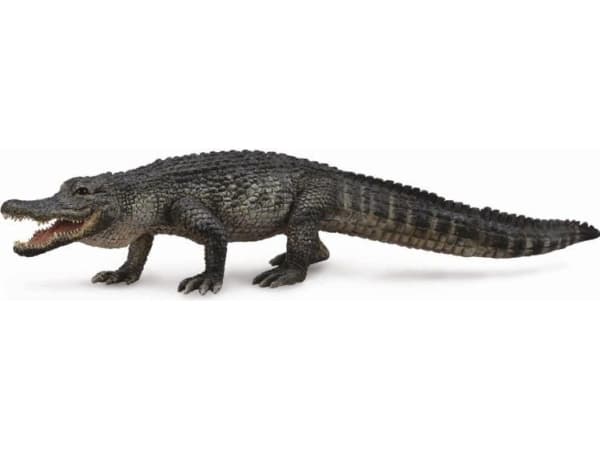 Figurka Collecta Aligator Amerikansk (004-88609)