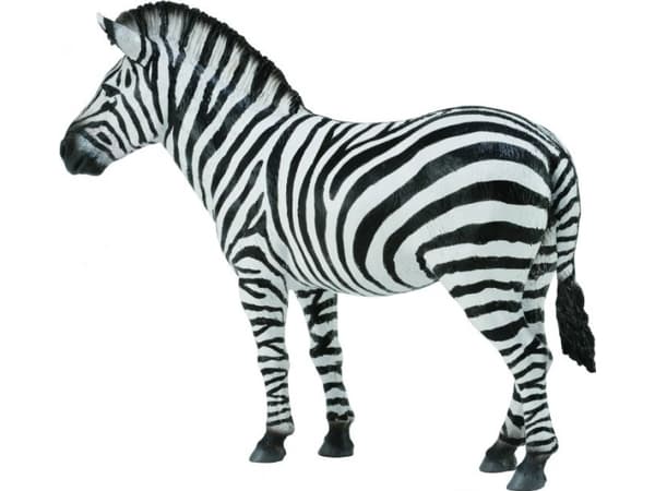 CollectA Common Zebra L toy