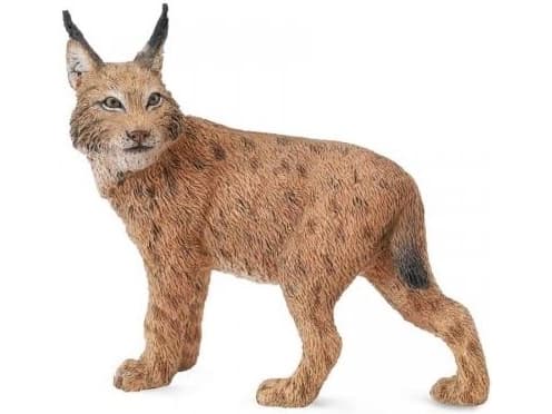 Figurka Collecta Ryś (004-88565)