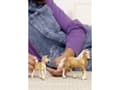 Miniatyrbilde 5 av 5: Schleich Haflinger hoppe