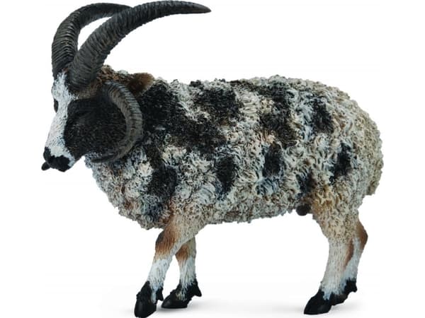 Figurka Collecta Owca wielkoroga (004-88728)