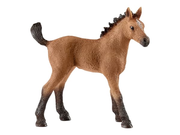 Schleich Hesteklubb - Quarter Føl