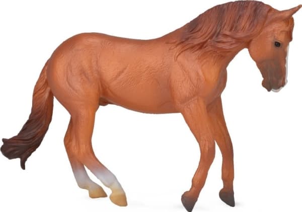 Figurine Collecta Stallion Australian Stock (004-88712)