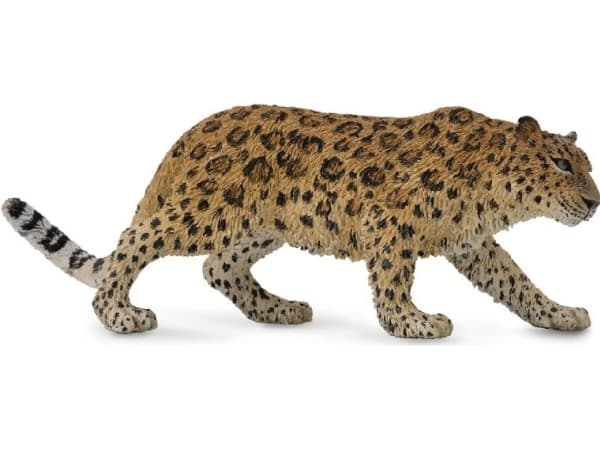 Figurka Collecta Lampart Amurski (004-88708)