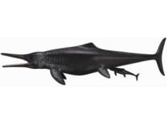 Dinosaur Temnodontosaurus Collecta figur