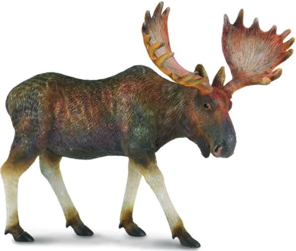 CollectA Moose L toy