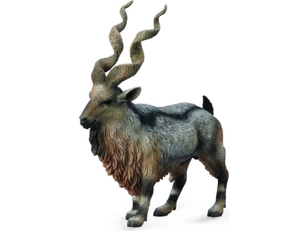 Collect figurine Cuckold Tadjik Markhor (004-88641)