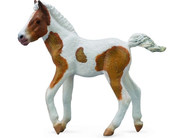 Figurka Collecta Źrebię rasy Dartmoor Hill (004-88735)