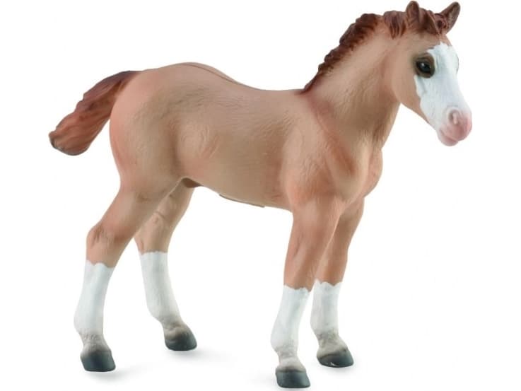 Collecta figurine Red Dun foal (004-88814)