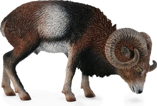 Collecta Europeisk Mouflon-figur (004-88682)