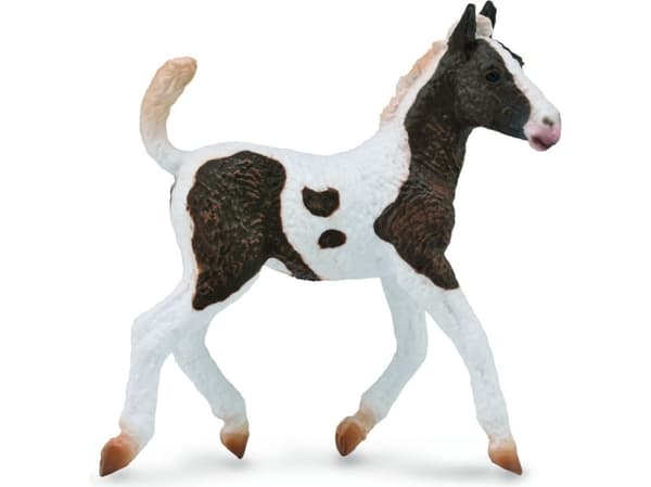 Figurka Collecta Żrebię rasy Bashkir Curly (004-88781)