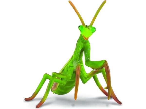 PRAYING MANTISK (L)