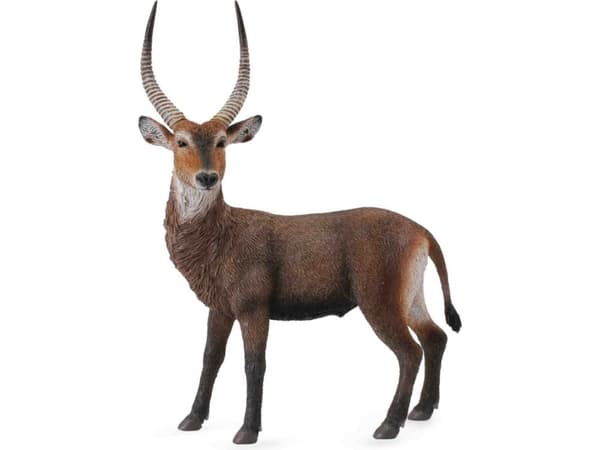 Figurka Collecta Antylopa Kob śniada (004-88562)