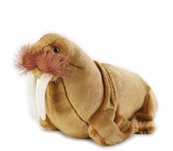 Dante Mors (70726)
