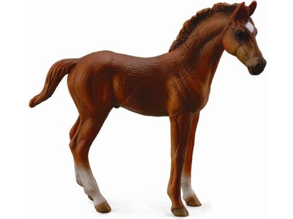 Figurka Collecta Źrebię Thoroughbred (88671)