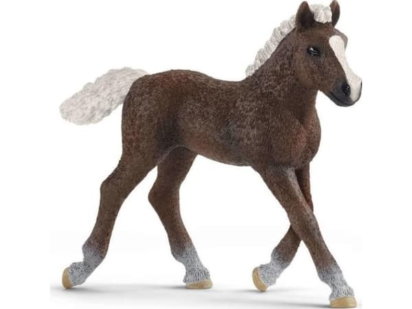 schleich Farm World 13899, 3 vuosi/vuosia, Monivärinen, Muovi