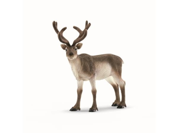 Schleich Wild Life 14837 Reinsdyr