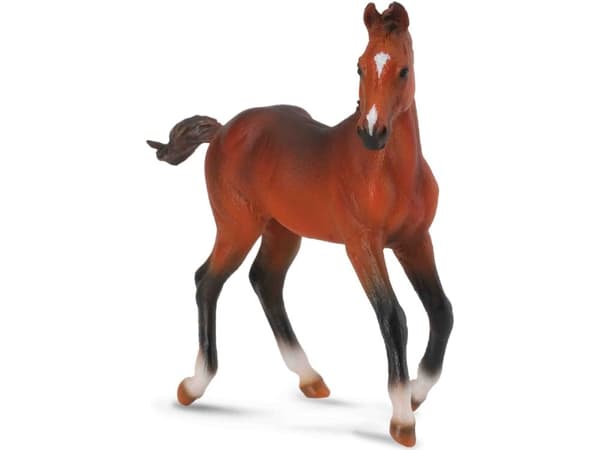 Figurka Collecta Koń źrebię rasy Kvartal (88586)