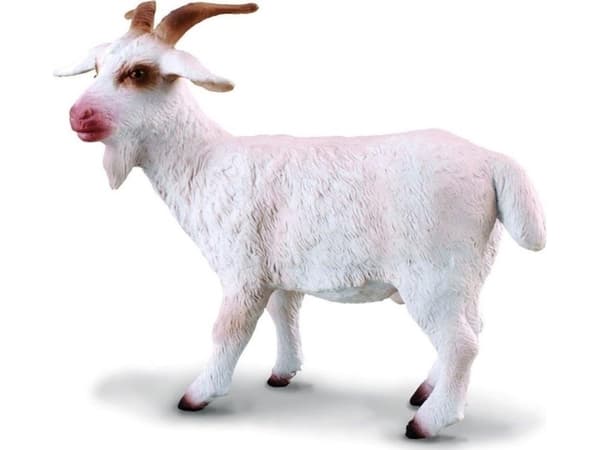 COLLECTA (M) Billy Goat 88212