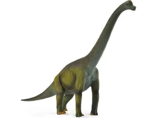CollectA Brachiosaurus L toy