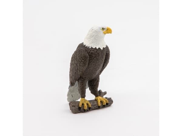 Papo 50181, 3 år, Wild animal kingdom, Brun, Hvit, Gult, PVC