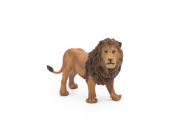 Papo 50040, 3 År, Wild animal kingdom, Brun, PVC