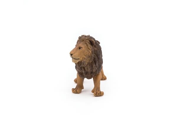 Papo 50040, 3 År, Wild animal kingdom, Brun, PVC