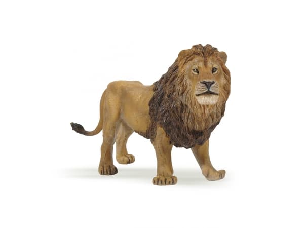 Papo 50040, 3 År, Wild animal kingdom, Brun, PVC