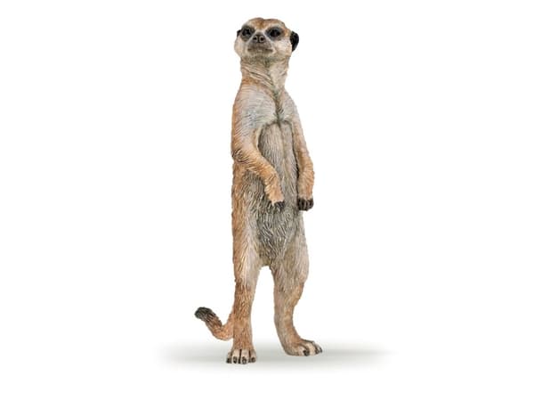Papo 50206, 3 År, Wild animal kingdom, Multifärg, PVC