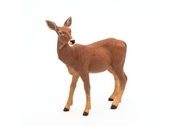 Papo Doe, 3 År, Wild animal kingdom, Brun, PVC