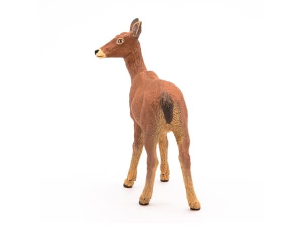Papo Doe, 3 År, Wild animal kingdom, Brun, PVC