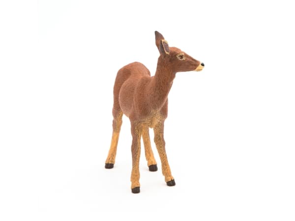 Papo Doe, 3 År, Wild animal kingdom, Brun, PVC