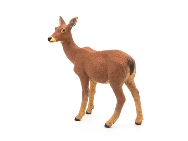 Papo Doe, 3 År, Wild animal kingdom, Brun, PVC