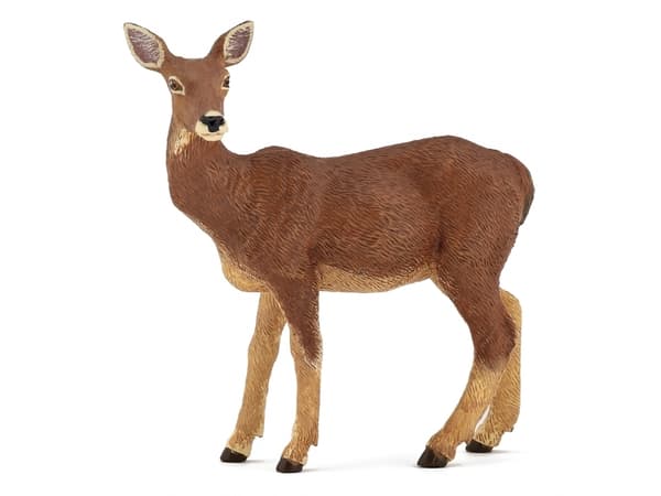 Papo Doe, 3 År, Wild animal kingdom, Brun, PVC