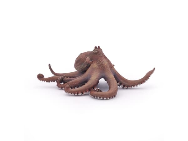 Papo Octopus, 3 år, Marine life, Brun, PVC