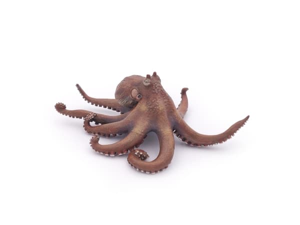 Papo Octopus, 3 År, Marint liv, Brun, PVC
