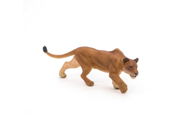 Papo 50251, 3 vuosi/vuosia, Wild animal kingdom, Ruskea, PVC-muovi