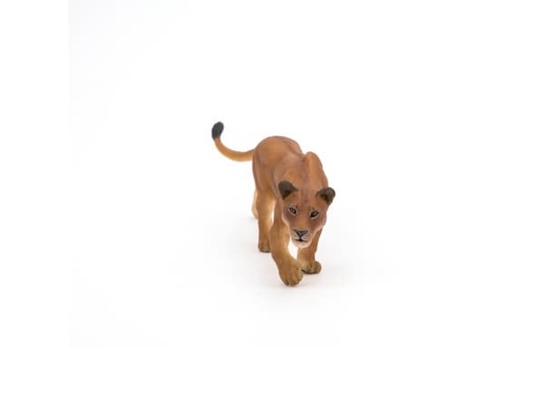 Papo 50251, 3 vuosi/vuosia, Wild animal kingdom, Ruskea, PVC-muovi