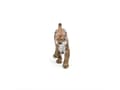 Miniatyrbild 3 av 5: Papo 50241, 27 g