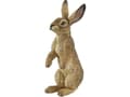 Miniatyrbild 2 av 2: Papo Standing hare, 3 År, Wild animal kingdom, Brun, PVC