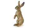 Miniatyrbild 1 av 2: Papo Standing hare, 3 År, Wild animal kingdom, Brun, PVC