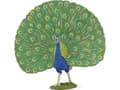 Miniatyrbilde 3 av 3: Papo 51161, 3 år, Farmyard friends, Flerfarget, PVC
