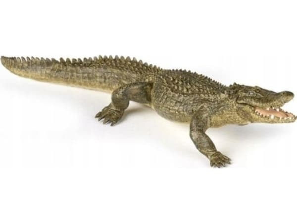 Papo 50254, 3 År, Wild animal kingdom, Grön, PVC