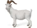Miniatyrbild 3 av 3: Papo 51144, 3 År, Farmyard friends, Vit, PVC
