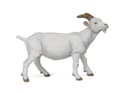 Miniatyrbild 1 av 3: Papo 51144, 3 År, Farmyard friends, Vit, PVC