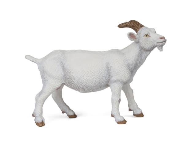 Papo 51144, 3 År, Farmyard friends, Vit, PVC