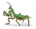 Miniatyrbild 1 av 3: Papo 50244, 3 År, Wild animal kingdom, Grön, PVC